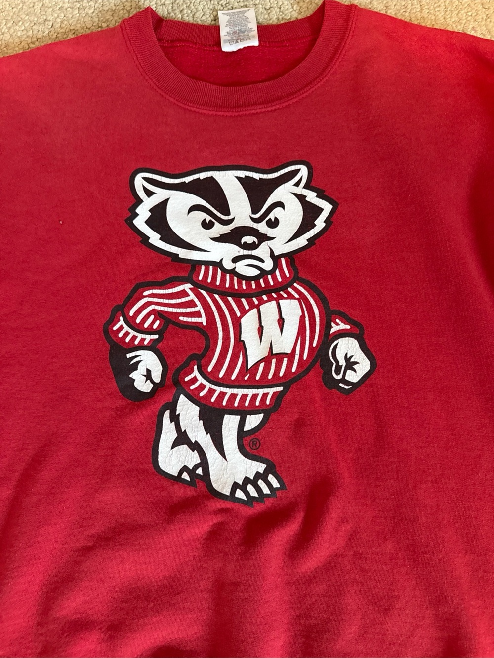 Vtg Wisconsin Badgers Bucky Red Crew Neck Sweatshirt Jerzees Medium - Picture 2 of 8